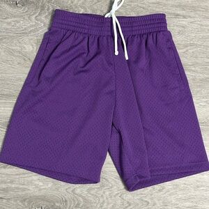 Mitchell & Ness Purple Mesh Shorts